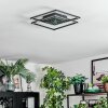 Manor Plafones LED Negro, 1 luz, Mando a distancia