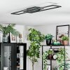 Manor Plafones LED Negro, 1 luz, Mando a distancia