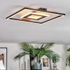 Hadel Plafones LED Color madera, Negro, 1 luz