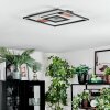 Hadel Plafones LED Color madera, Negro, 1 luz