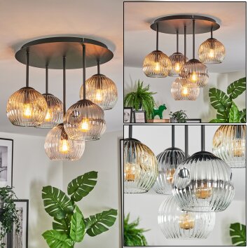 Ripoll Plafones, Luminarias esféricas Colores ámbar, Transparente, Ahumado, 5 luces