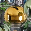 Koyoto Lámparas suspendidas, Luminarias esféricas, Lámparas colgantes Azul, dorado, Verde, Transparente, 8 luces