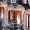 Lauden Lámparas suspendidas, Lámparas colgantes Transparente, Color cobre, 4 luces