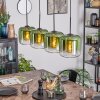 Lauden Lámparas suspendidas, Lámparas colgantes Verde, Transparente, 4 luces