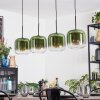 Lauden Lámparas suspendidas, Lámparas colgantes Verde, Transparente, 4 luces