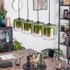 Lauden Lámparas suspendidas, Lámparas colgantes Verde, Transparente, 4 luces