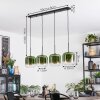 Lauden Lámparas suspendidas, Lámparas colgantes Verde, Transparente, 4 luces