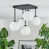 Gastor Plafones, Luminarias esféricas Blanca, 5 luces