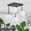 Gastor Plafones, Luminarias esféricas Blanca, 5 luces