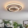 Lynor Plafones LED Antracita, Negro, 1 luz