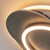 Lynor Plafones LED Antracita, Negro, 1 luz