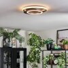 Lynor Plafones LED Antracita, Negro, 1 luz
