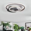 Lynor Plafones LED Antracita, Negro, 1 luz