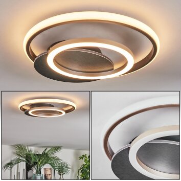Lynor Plafones LED Antracita, Negro, 1 luz