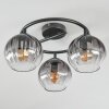 Koyoto Plafones, Luminarias esféricas 37 cm Transparente, Ahumado, 3 luces