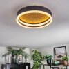 Guine Plafones LED dorado, Negro, 1 luz