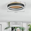 Guine Plafones LED dorado, Negro, 1 luz