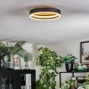 Guine Plafones LED dorado, Negro, 1 luz