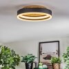 Guine Plafones LED dorado, Negro, 1 luz