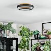 Guine Plafones LED dorado, Negro, 1 luz