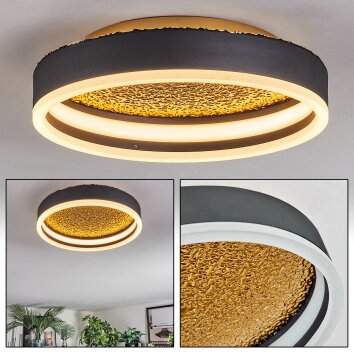Guine Plafones LED dorado, Negro, 1 luz