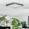 Salmi Plafones, Panel LED Gris, Plata, 1 luz