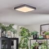 Salmi Plafones, Panel LED Gris, Plata, 1 luz