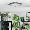 Salmi Plafones, Panel LED Gris, Plata, 1 luz