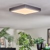Salmi Plafones, Panel LED Gris, Plata, 1 luz