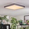 Salmi Plafones, Panel LED Gris, Plata, 1 luz