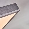 Salmi Plafones, Panel LED Gris, Plata, 1 luz, Mando a distancia