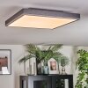 Salmi Plafones, Panel LED Gris, Plata, 1 luz, Mando a distancia