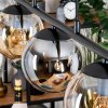 Gastor Lámparas suspendidas, Luminarias esféricas, Lámparas colgantes Colores ámbar, Ahumado, 5 luces
