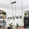 Koyoto Lámparas suspendidas, Luminarias esféricas, Lámparas colgantes Azul, dorado, Verde, Transparente, 5 luces