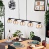 Koyoto Lámparas suspendidas, Luminarias esféricas, Lámparas colgantes Colores ámbar, Transparente, 5 luces