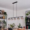 Gastor Lámparas suspendidas, Luminarias esféricas, Lámparas colgantes Cromo, Transparente, Ahumado, 5 luces