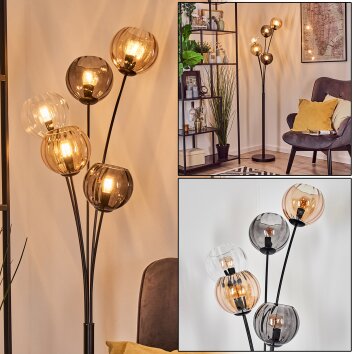 Koyoto Luminarias esféricas, Lámpara de pie Colores ámbar, Transparente, Ahumado, 5 luces