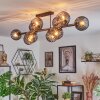 Koyoto Plafones, Luminarias esféricas Ahumado, 10 luces