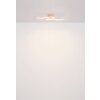 Lámparas Globo Lighting Eloise Plafones LED Negro, 1 luz