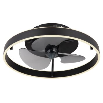 Lámparas Globo Lighting Conway lámpara ventilador de techo LED Negro, 1 luz, Mando a distancia