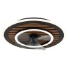Lámparas Globo Lighting Trevino lámpara ventilador de techo LED Crudo, Negro, 1 luz, Mando a distancia