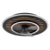 Lámparas Globo Lighting Trevino lámpara ventilador de techo LED Crudo, Negro, 1 luz, Mando a distancia