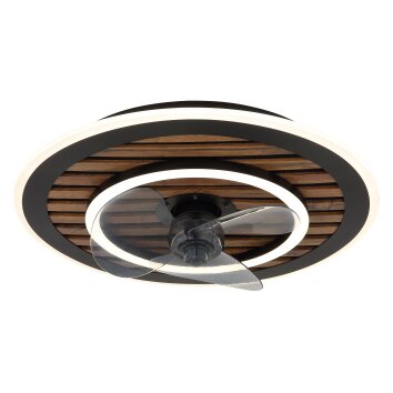 Lámparas Globo Lighting Trevino lámpara ventilador de techo LED Crudo, Negro, 1 luz, Mando a distancia