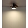 Lámparas Globo Lighting Kari lámpara ventilador de techo LED Marrón, Negro, 1 luz, Mando a distancia