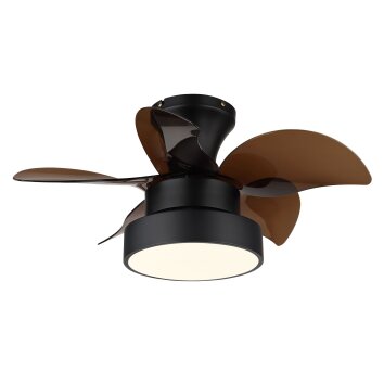 Lámparas Globo Lighting Kari lámpara ventilador de techo LED Marrón, Negro, 1 luz, Mando a distancia