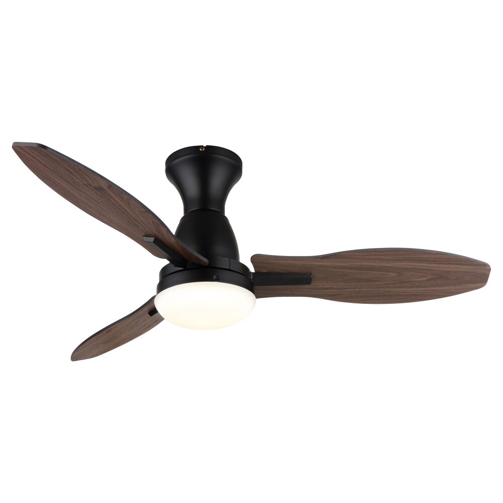 Lámparas Globo Lighting Gale lámpara ventilador de techo LED Color madera, Crudo, Negro, 1 luz, Mando a distancia main product photo