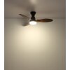 Lámparas Globo Lighting Gale lámpara ventilador de techo LED Color madera, Crudo, Negro, 1 luz, Mando a distancia