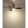 Lámparas Globo Lighting Gale lámpara ventilador de techo LED Color madera, Crudo, Níquel-mate, 1 luz, Mando a distancia