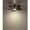 Lámparas Globo Lighting Elise lámpara ventilador de techo LED Crudo, Negro, 1 luz, Mando a distancia