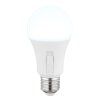 Lámparas Globo Lighting E27 9 Watt luz blanca día 830 Lumen